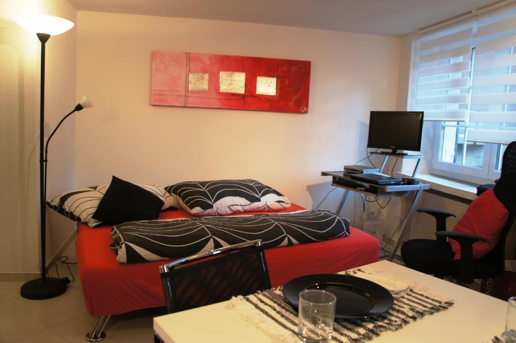Studio-Appartment Horgen Cameră foto